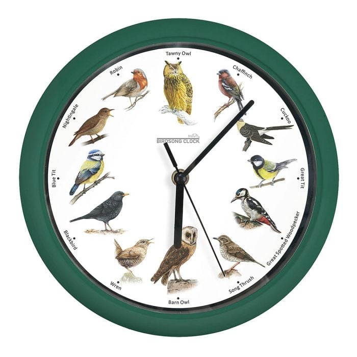 Reloj de Pared Tipo Mural 3D Con Aves »