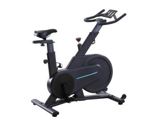 Spinning Bull Bike