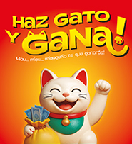 Bases-Haz-Gato-Y-Gana Bases-Haz-Gato-Y-Gana