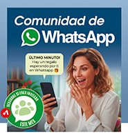 Bases Un Nuevo Comienzo Bases Un Nuevo Comienzo