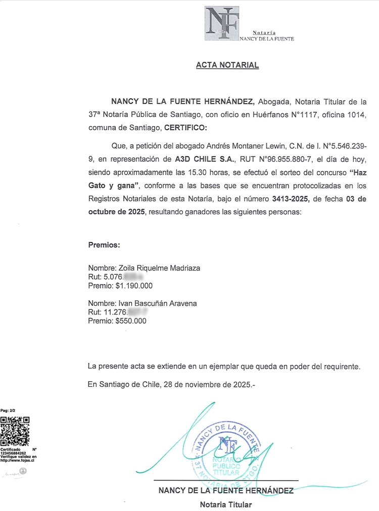 Bases Tu Pieza Única Bases Tu Pieza Única