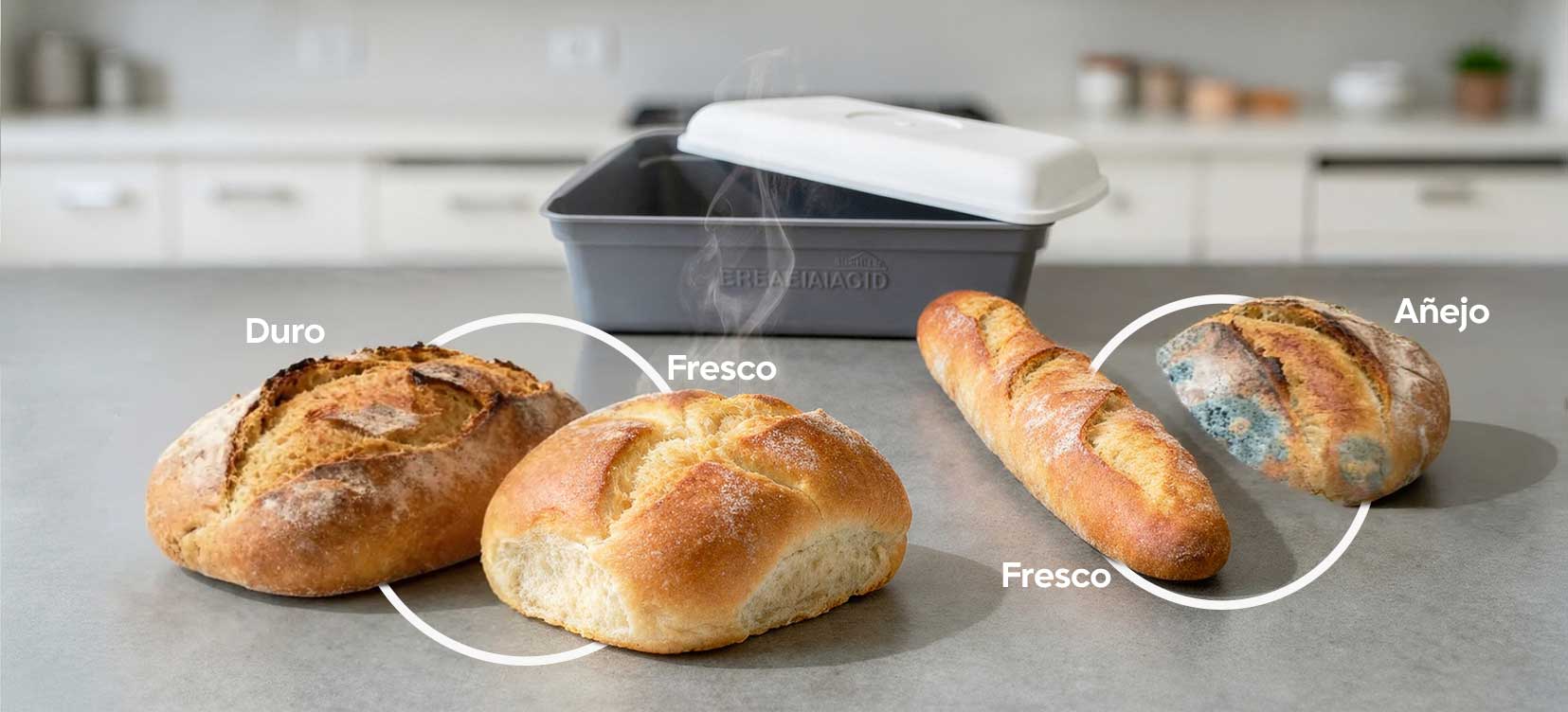 Bread Magic