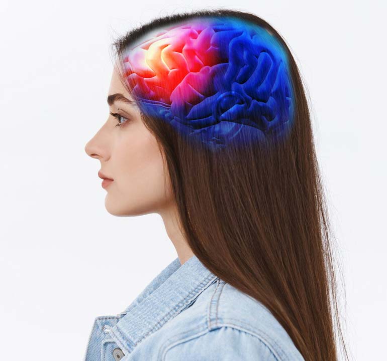 Imagen que muestra melena de león