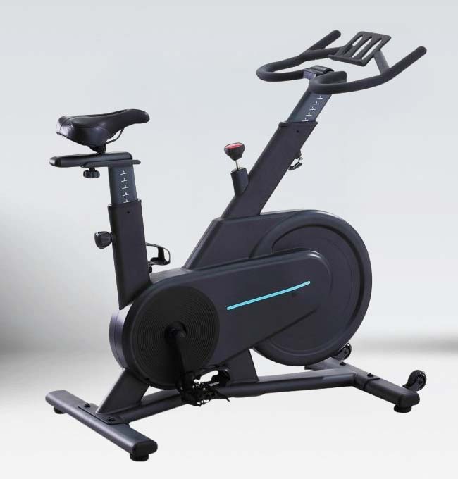 Spinning Bull Bike